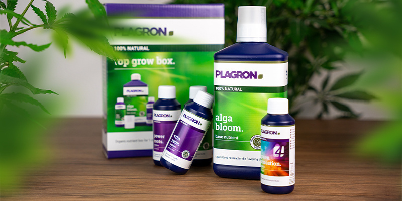 Top Grow Box 100% Natural