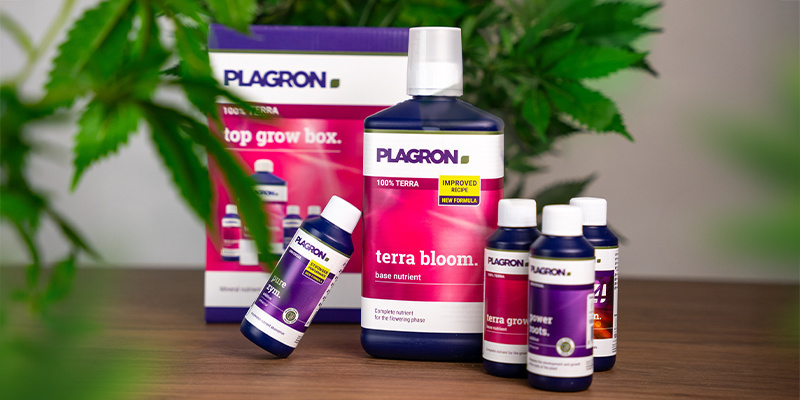 Top Grow Box 100% Terra