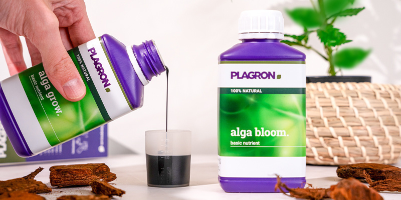 Co je Plagron Top Grow Box a proč byste ho měli použ&iacute;vat?