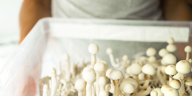 Metoda 3: Spawn a objemov&yacute; substr&aacute;t