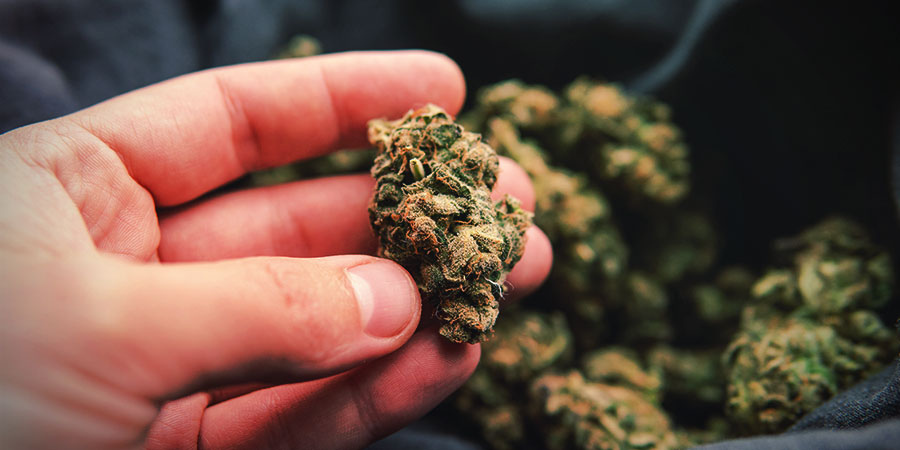 Proč na hustotě květů z&aacute;lež&iacute;?