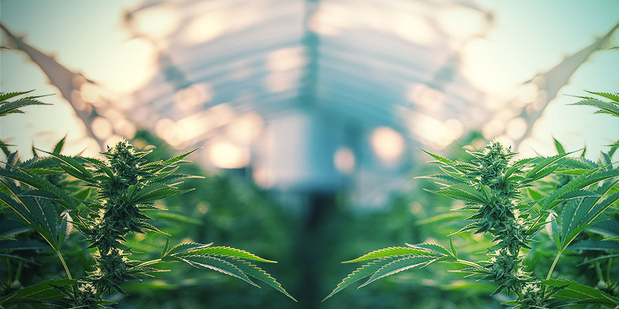 LZE ZAVLAŽOVAC&Iacute; SYST&Eacute;MY POUŽ&Iacute;VAT V INTERI&Eacute;RU I EXTERI&Eacute;RU?