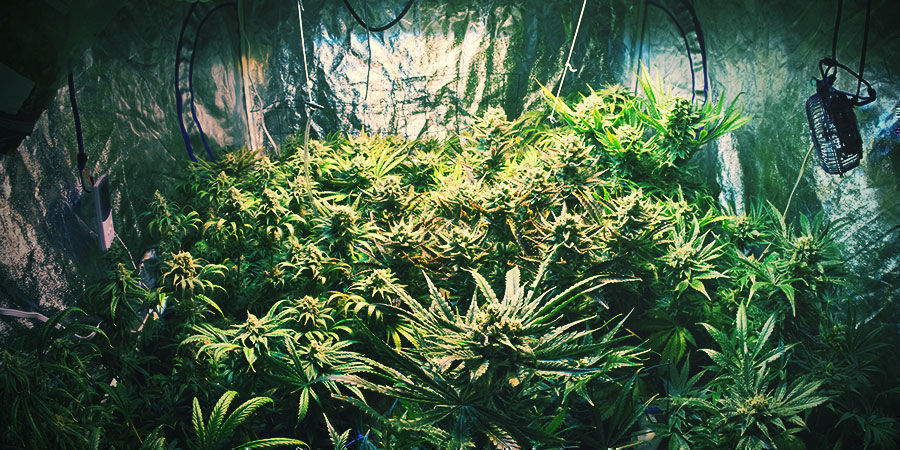 Vyberte spr&aacute;vn&yacute; prostor