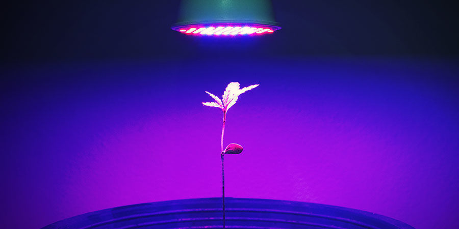 Snižov&aacute;n&iacute; spotřeby energie a &uacute;spora peněz