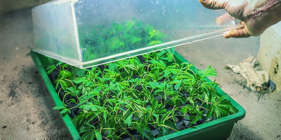 Přizpůsobte velikost pěst&iacute;rny sv&yacute;m potřeb&aacute;m