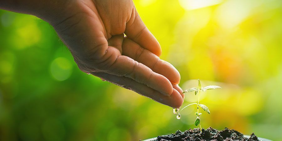 &Scaron;etřete vodou