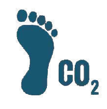 Stopa pěst&iacute;rny