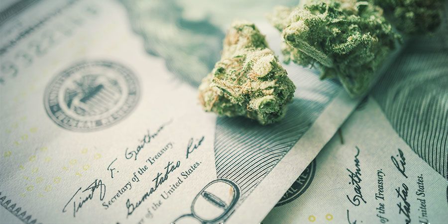 Důležitost &uacute;spory energie při pěstov&aacute;n&iacute; konop&iacute;