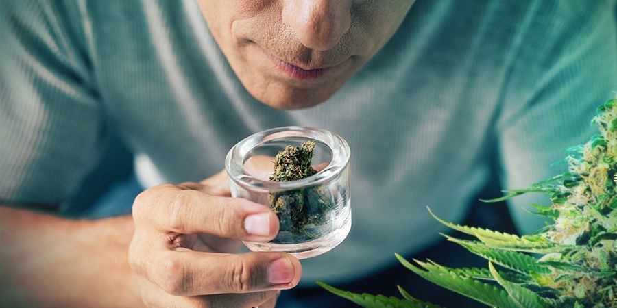 ZZ Punch: &Uacute;činky, chuť a vůně