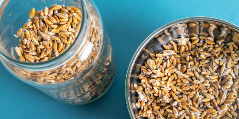 To nejlep&scaron;&iacute; houbov&eacute; podhoub&iacute;