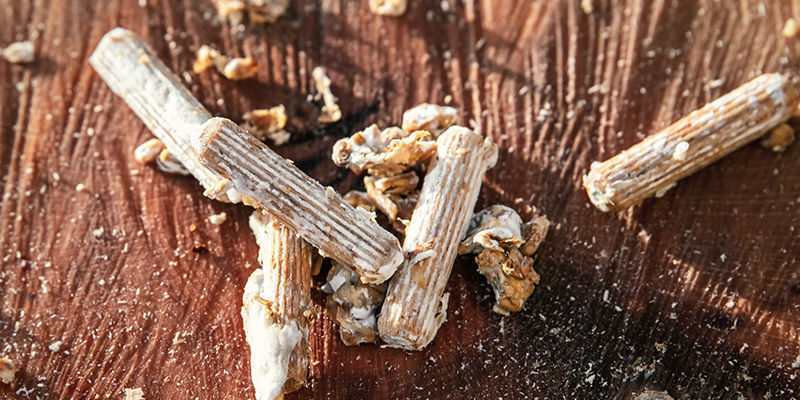 Typy houbov&eacute;ho podhoub&iacute;