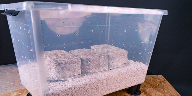 Takže, vyplat&iacute; se použ&iacute;vat shotgun plod&iacute;c&iacute; komoru?