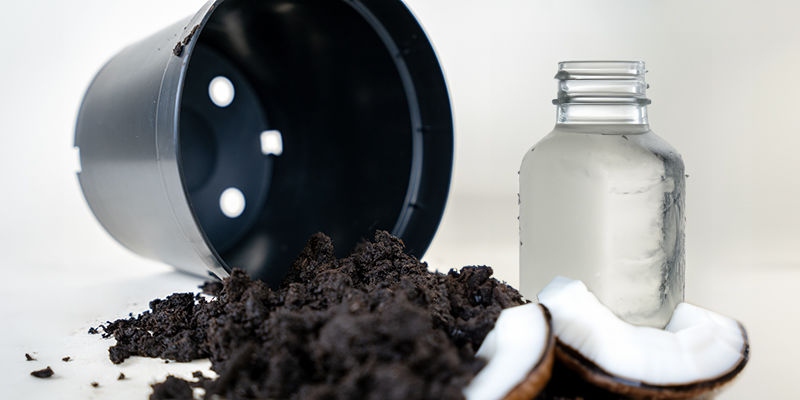 Kokosov&aacute; voda