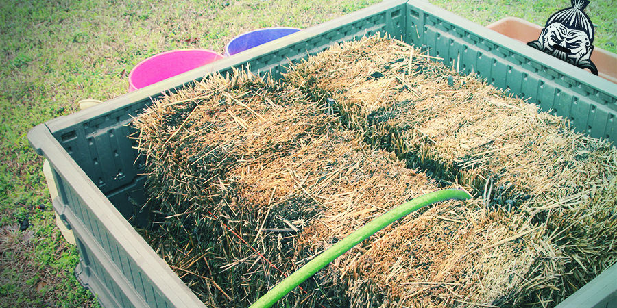 KDY PASTERIZOVAT / STERILIZOVAT