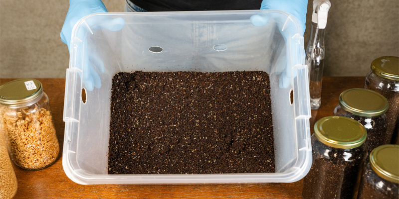 Jak&aacute; velikost n&aacute;doby je nejlep&scaron;&iacute; pro monotub?