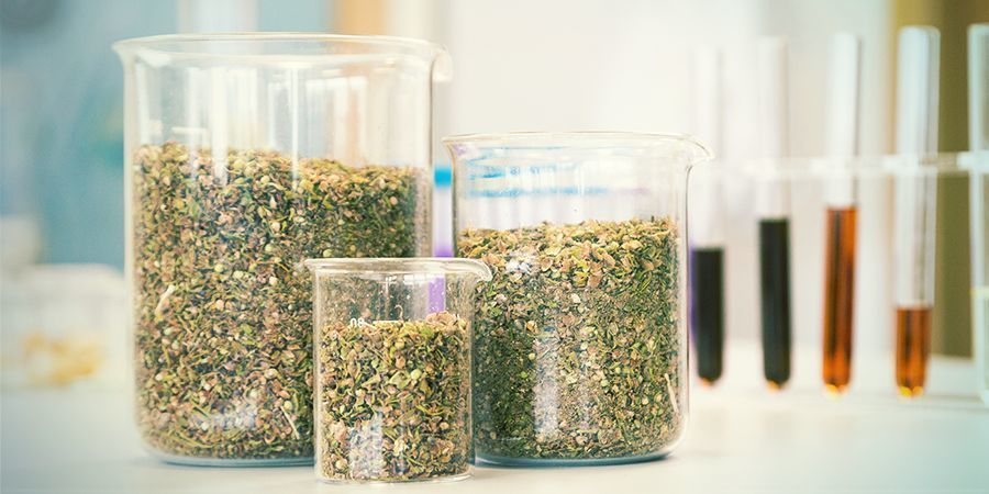 Jak se vyr&aacute;b&iacute; CBG olej