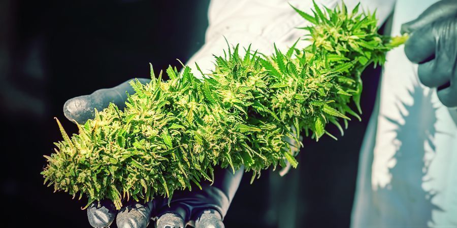 V&yacute;hody spr&aacute;vn&eacute;ho ř&iacute;zen&iacute; vlhkosti