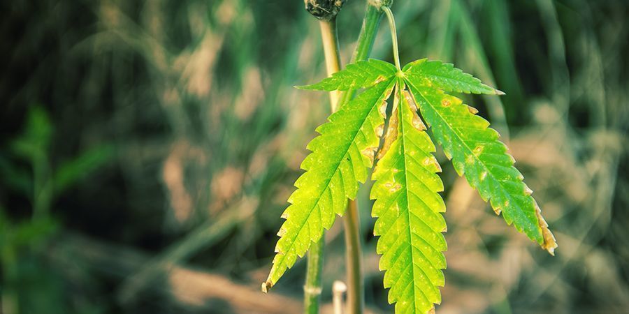 Důsledky &scaron;patn&eacute;ho ř&iacute;zen&iacute; vlhkosti