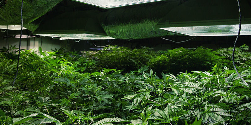 Faktory, kter&eacute; je třeba zv&aacute;žit při v&yacute;běru zvlhčovače: velikost pěst&iacute;rny