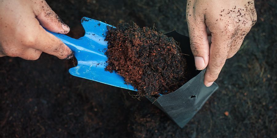 Why You Can&rsquo;t Use Any Old Soil For Your Cannabis Plants