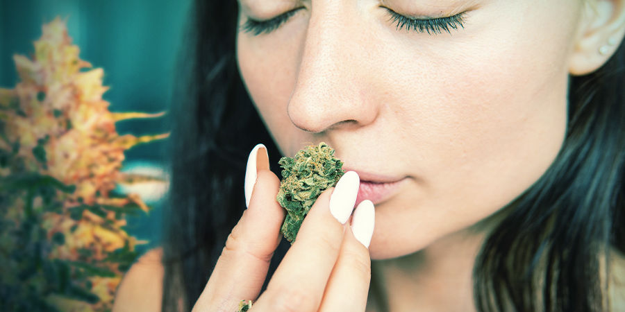 &Uacute;činky Bomberry Glue Auto