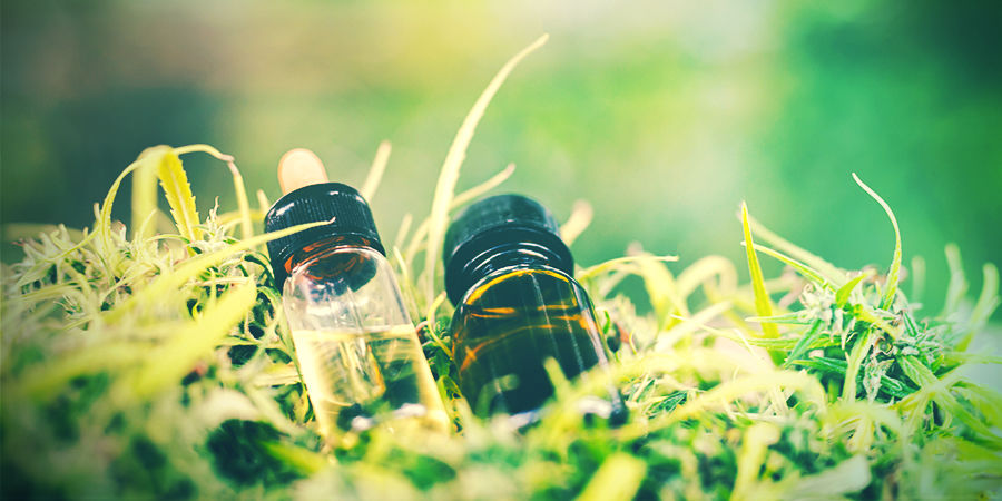 Co je tolerance a jak funguje?