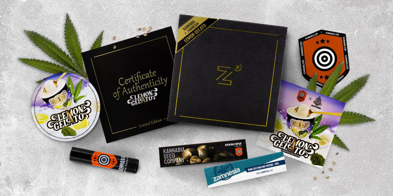 Lemon Gelato (Kannabia X Zamnesia) feminized