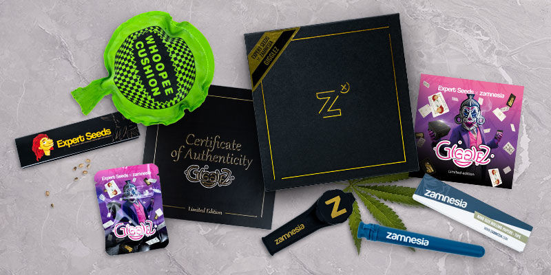 Gigglez feminizovan&aacute; (Expert Seeds & Zamnesia)