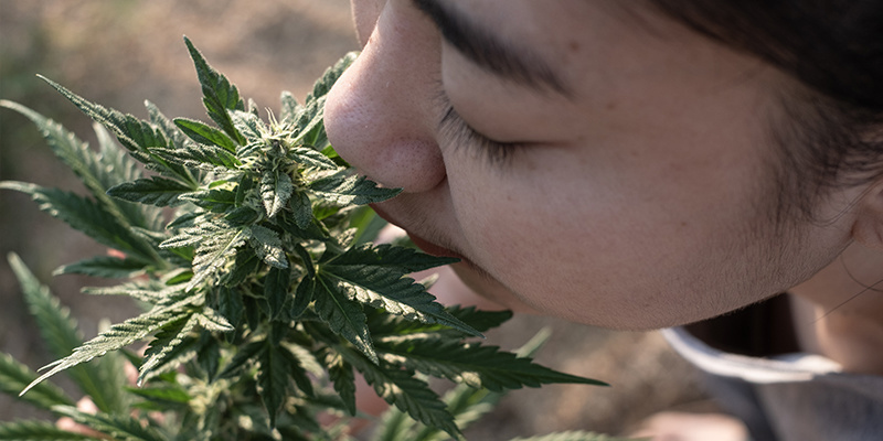 Nechte svůj nos &ndash; a sv&eacute; potřeby &ndash; uk&aacute;zat směr