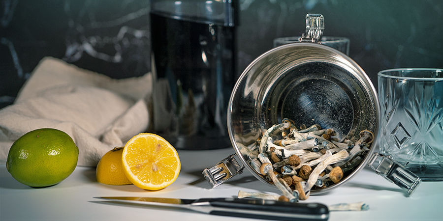 Jak připravit lemon tek z lysohl&aacute;vek nebo magick&yacute;ch lan&yacute;žů