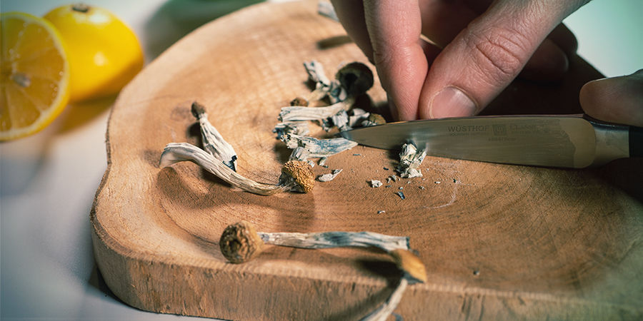 Lemon Tek &ndash; n&aacute;vod: Nakr&aacute;jejte nebo rozemelte magick&eacute; houby či lan&yacute;že