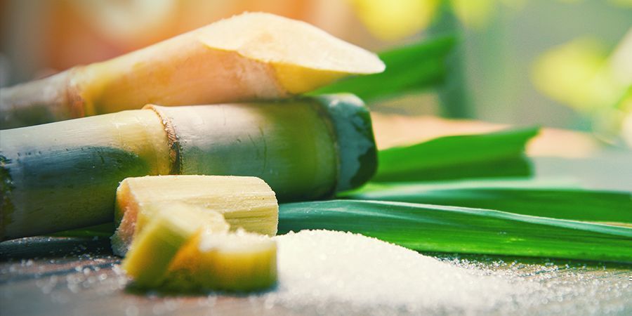 &Uacute;rovně sachar&oacute;zy a lipidů