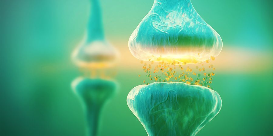 Proč je anandamid důležit&yacute;?