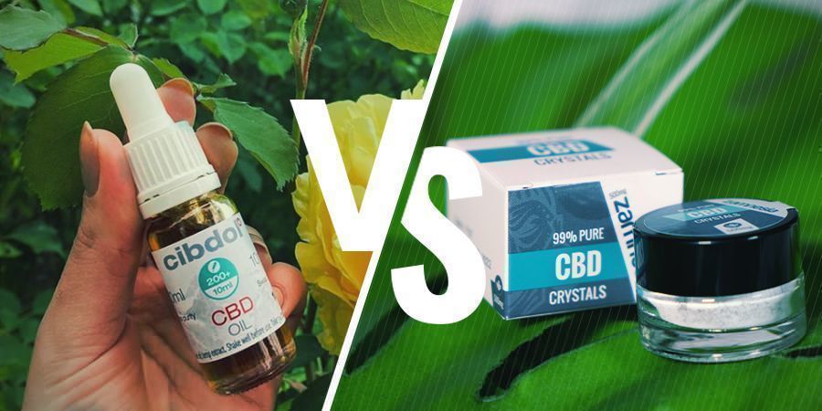 Plnospektr&aacute;ln&iacute; CBD vs. CBD izol&aacute;t