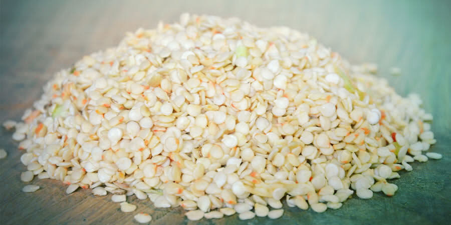 Pěstov&aacute;n&iacute; paprik pro zač&aacute;tečn&iacute;ky: v&yacute;běr semen