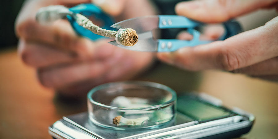 D&aacute;vkov&aacute;n&iacute; magick&yacute;ch hub