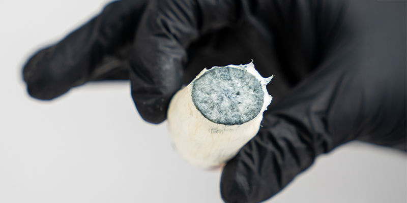 Čerstv&eacute; vs su&scaron;en&eacute; lysohl&aacute;vky: Kter&eacute; jsou pro v&aacute;s ty prav&eacute;?