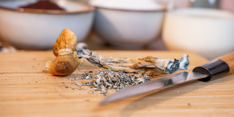Magic mushroom preparation and ease of use