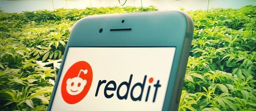 Proč a jak mohou huliči využ&iacute;vat Reddit jako zdroj informac&iacute; o tr&aacute;vě