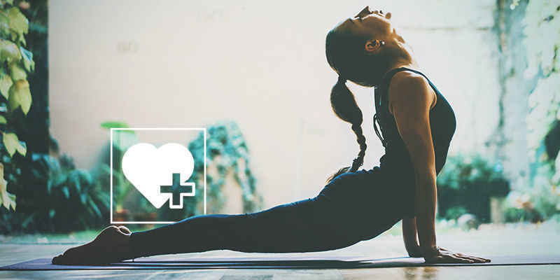 Jak&eacute; jsou př&iacute;nosy chagy?