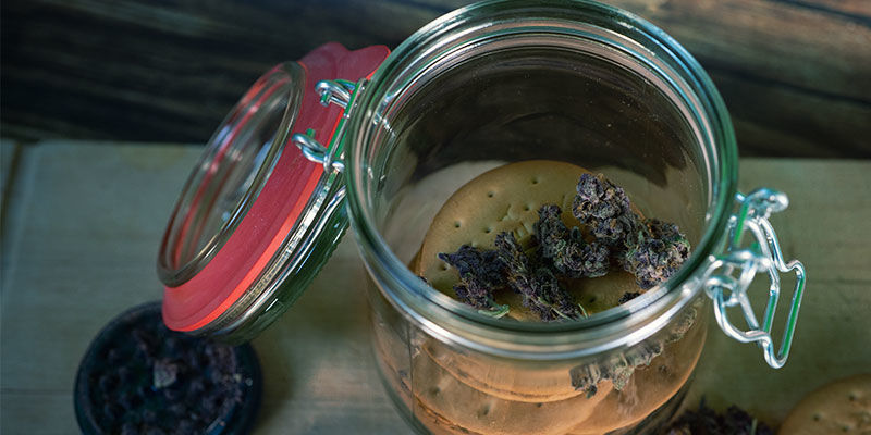 Lze uchovávat konopné firecrackery?