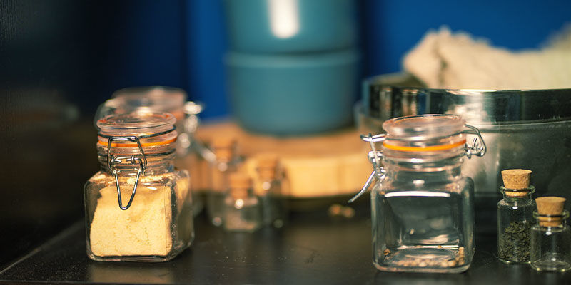 Jak skladovat houby lv&iacute; hř&iacute;va