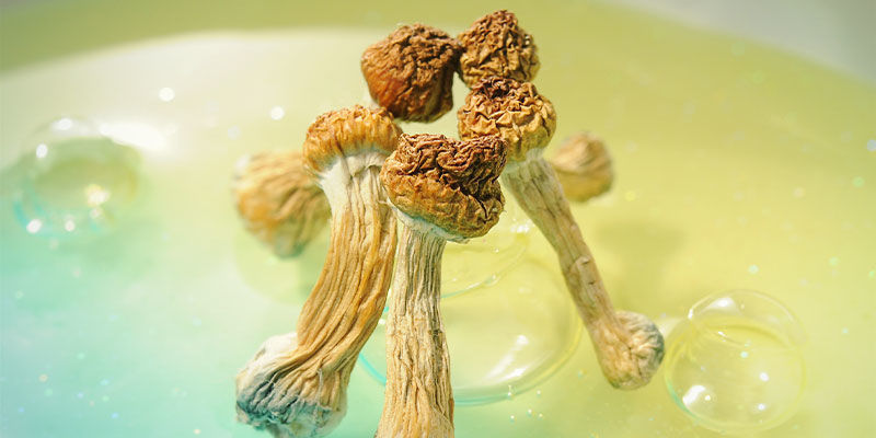 Kter&eacute; psychedelika se dobře hod&iacute; k VR