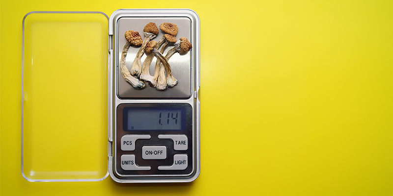 Jak d&aacute;vkovat různ&eacute; druhy lysohl&aacute;vek s odli&scaron;nou potenc&iacute;