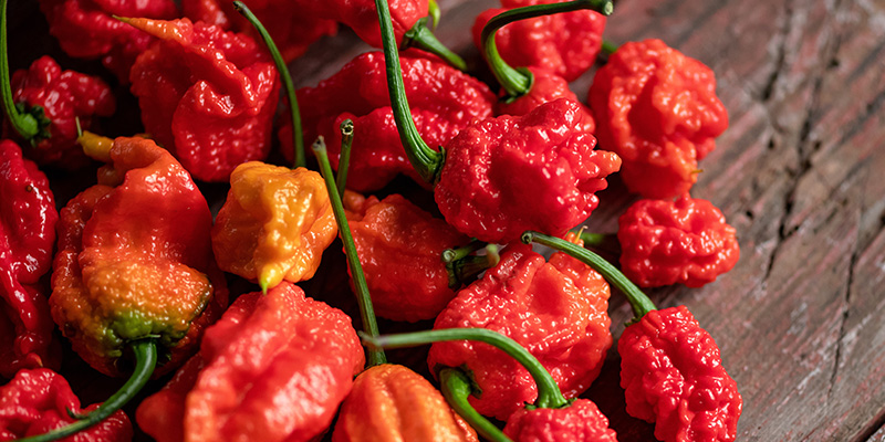 7 Pot Barrackpore: 1.3M SHU