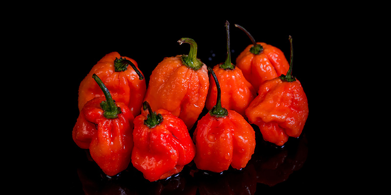 Naga Viper: 1.38M SHU