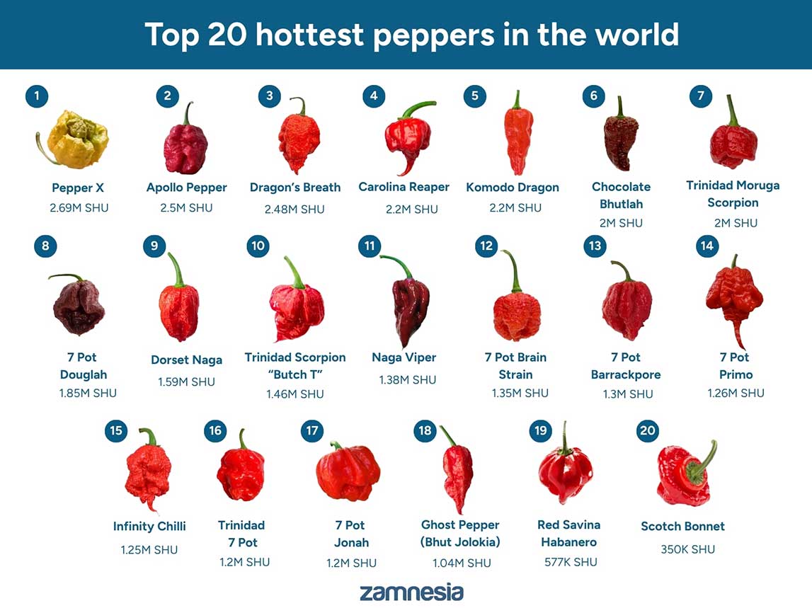 Top 20 nejp&aacute;livěj&scaron;&iacute;ch papriček na světě