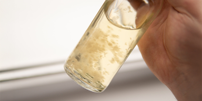 Pěstujte s jistotou d&iacute;ky vlastn&iacute; dom&aacute;c&iacute; tekut&eacute; kultuře!