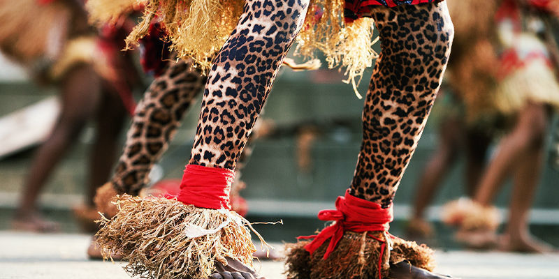 Jak se ibogain použ&iacute;v&aacute;