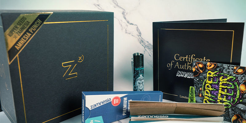 Co je souč&aacute;st&iacute; balen&iacute; Amnesia Punch?